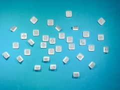 P8170531WEB